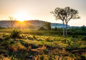  ឧទ្យានជាតិបុទុមសាគរ*